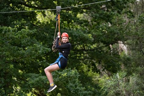 Go Wild @ Mount Lofty Adventure Hub (Full Day $120), South Australia ...