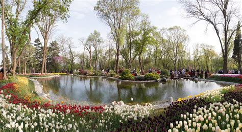 Palaces by the Bosphorus Hop-On/Hop-Off Boat Tour – Full Day - Klook India