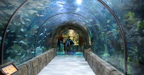 Audubon Aquarium & Insectarium Ticket - Klook India