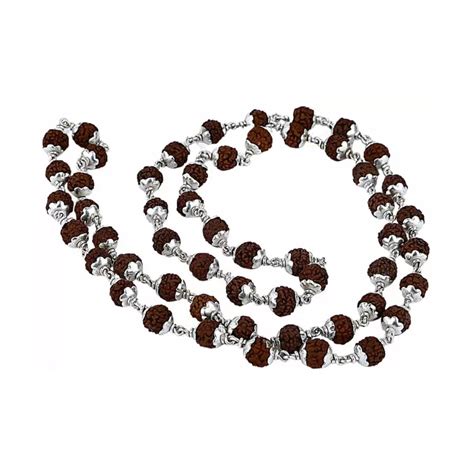 5 Mukhi Java Rudraksha 54+1 Beads Mala in Pure Silver — Rudraksha Mart
