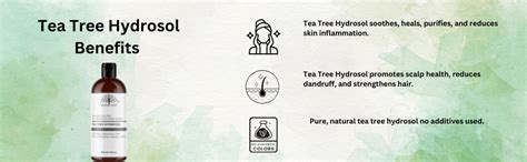 Hollywood Secrets Natural Tea Tree Hydrosol Floral Water Skin Hair Face ...