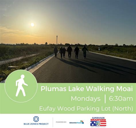 Plumas Lake Walking Moai, Eufay Wood Park, Rio Oso, 17 June 2024 ...