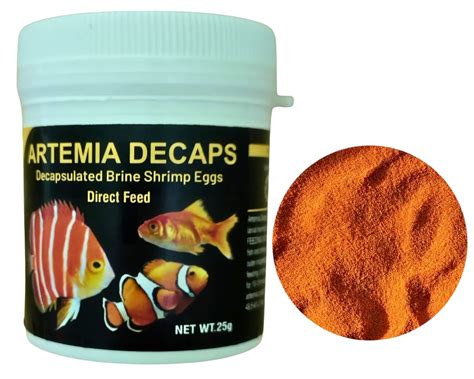 Aqua Petz Decapsulated Artemia Cyst/Brine Shrimp Eggs 100 Gram, Decap ...
