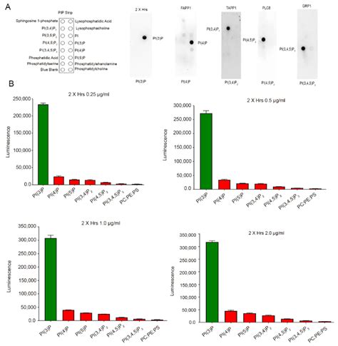 Phosphoinositide Lipids in Ocular Tissues