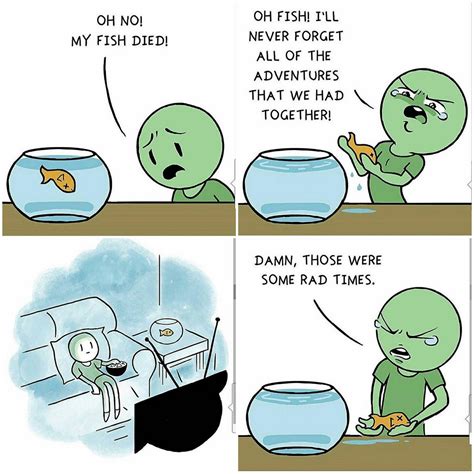 Object Show Fish Food 的图像结果