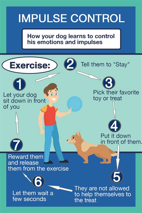 Impulse Control Exercises for Dogs 的图像结果
