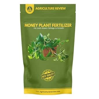 Agriculture Review Money Plant Fertilizer For Lush Green Foliage Color ...