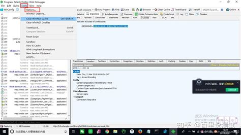 Image result for Fiddler IP Puller Tutorial