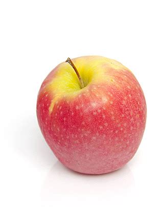 Image result for Apple System.Data