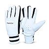 Buy Prokick Inflare Indoor Cricket Batting Gloves Suitable for Both ...
