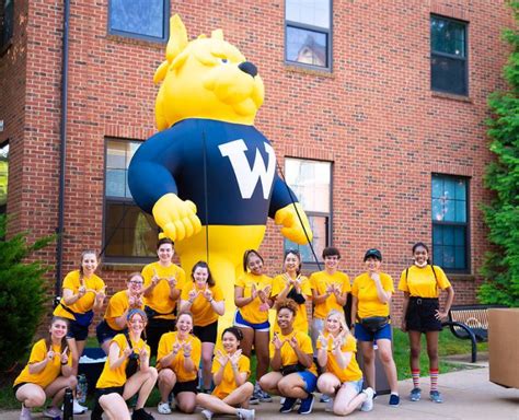 Image result for Webster University Graduate Programs