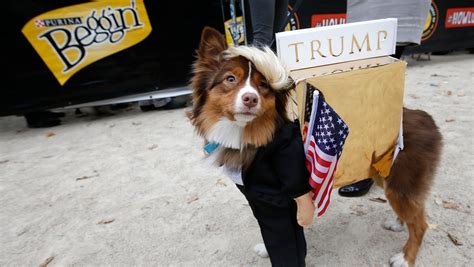 Bark is the new BOO!: 21 dog-human costumes