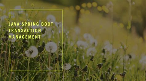 Image result for Transaction Management in Spring