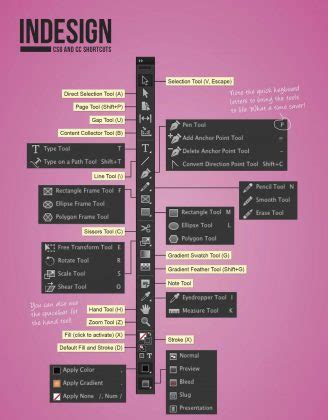 How Does Adobe InDesign Work 的图像结果