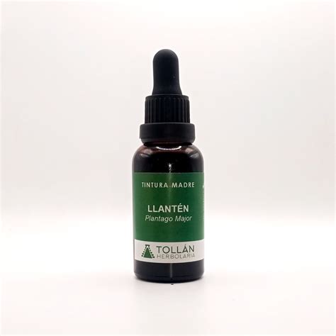 Llantén (Plantago major) Tintura Madre - Tollán Herbolaria