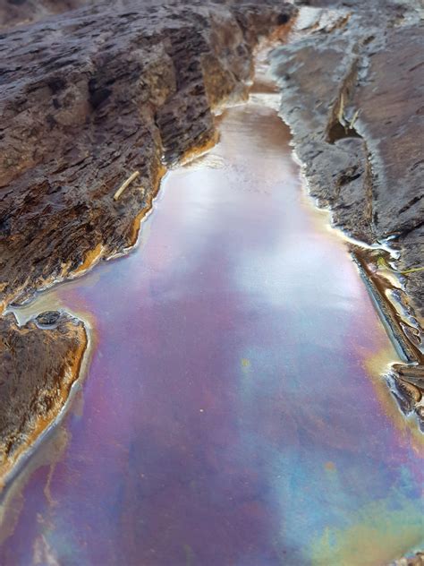 Image result for Alien Lake Movie