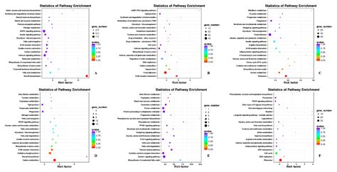 Characterization and Comparative Transcriptomic Analysis of Skeletal ...