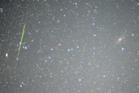 Perseids meteor shower lights up UAE skies but full moon dims celestial ...