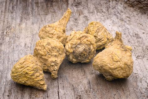 Image result for MACA