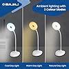 Buy Bajaj Softlite LED Multi-CCT 3 in 1 Color Modes Table Lamp | 360 ...