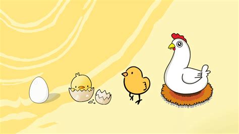Spotlight On Poultry Chicken Trends | Boehringer Ingelheim IN