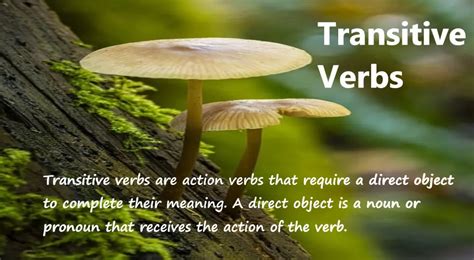 Image result for Transitive Sets Examples