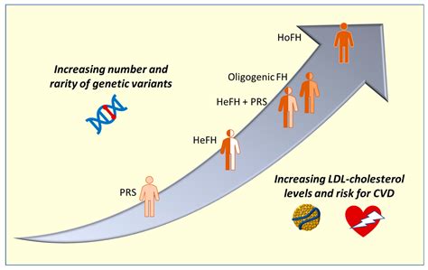 Cholesterol Levels Genetic Factors at Jessica Ogden blog