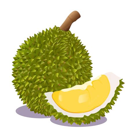 Durian Png