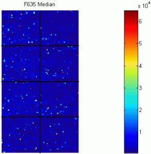 Microarray Data Visualization 的图像结果