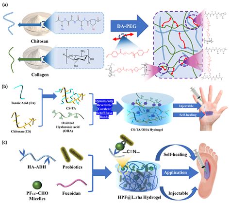 Dynamic Crosslinking Hydrogel Dressings | Encyclopedia MDPI