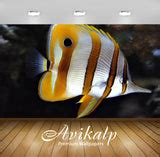 Avikalp Exclusive Awi2522 Copper Banded Butterfly Fish Full HD Wallpap ...
