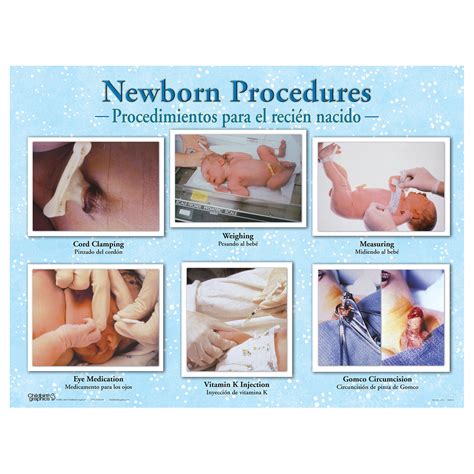 Baby Circumcision Healing Pictures