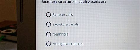 Explain the events in a normal woman during her menstrual cycle on the ...