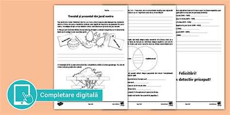 Trecutul și prezentul din jurul nostru – Fișă de evaluare cu descriptori de