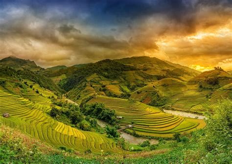Image result for Vietnam Shell Exploding