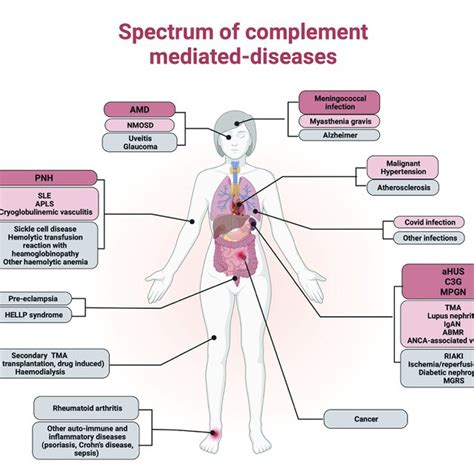 Image result for Complement System Disorders
