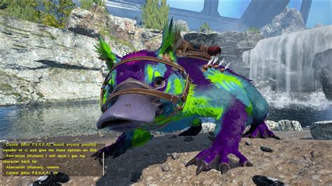 Image result for Syntax Ark