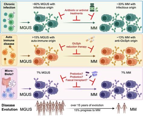 Frontiers | Editorial: The Role of Microorganisms in Multiple Myeloma