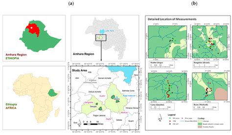 Sustainability | Special Issue : Citizen Science Projects for ...