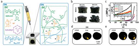 Bioinspired Metal–Polyphenol Materials: Self-Healing and Beyond