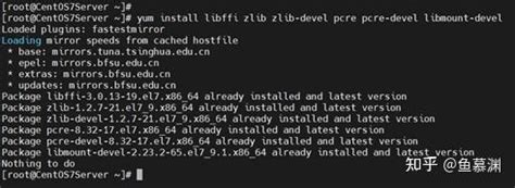 Image result for Libcli11