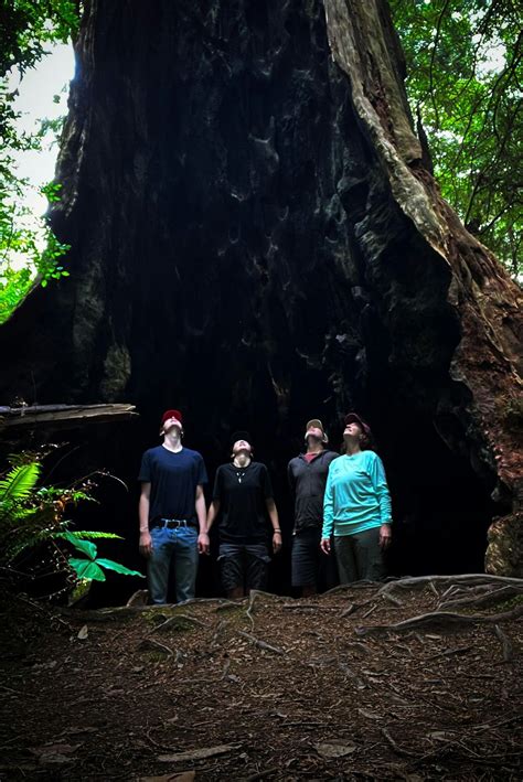 Monsters Under the Bed: The No-Fear Summer Show, 6624 Plank Road ...