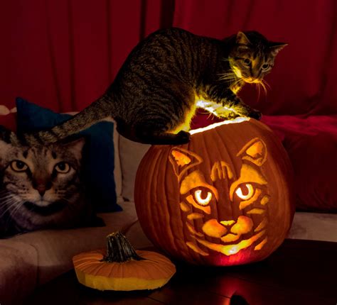 Cute Cat Pumpkin Carving Stencils