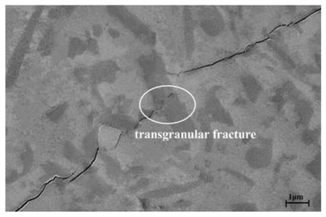 Preparation of In Situ Growth Multiscale β-Sialon Grain-Reinforced ...