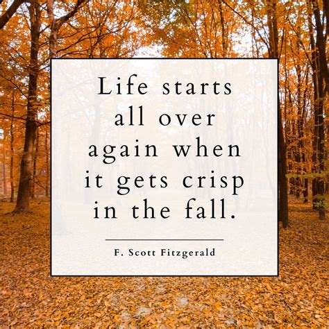 Fall Cute Quotes