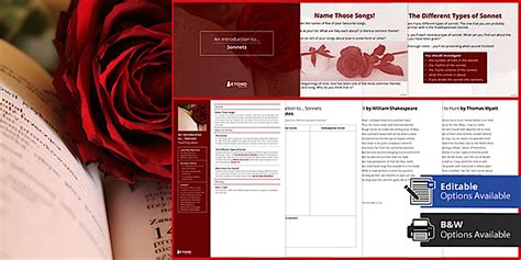 An Introduction To Sonnets Lesson Pack