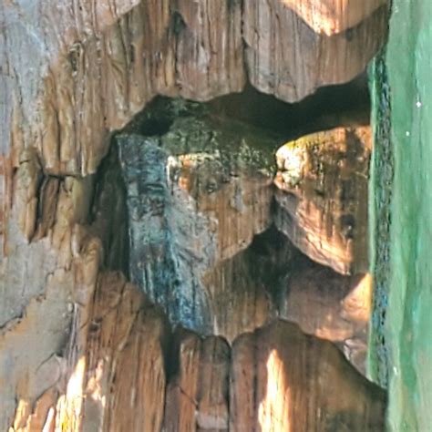 APOSTLE ISLANDS AREA CAMPGROUND (Bayfield) - Campground Reviews ...