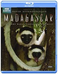 Madagascar: Land Where Evolution Ran Wild [Blu-ray]: Amazon.in: Ais ...