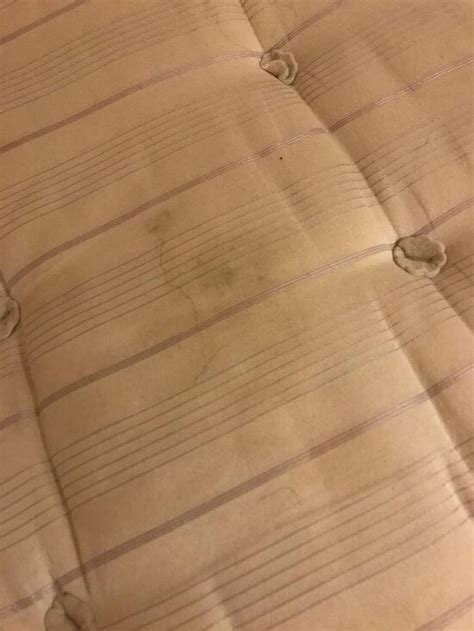 BALMORE GUEST HOUSE (Edinburgh, Scotland) - Guesthouse Reviews, Photos ...