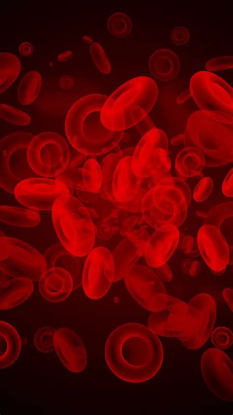 Everything You Need To Know About Thalassemia